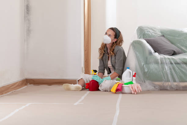 Trusted Black Mold Removal service in Todd, PA - WQB Mold Removal